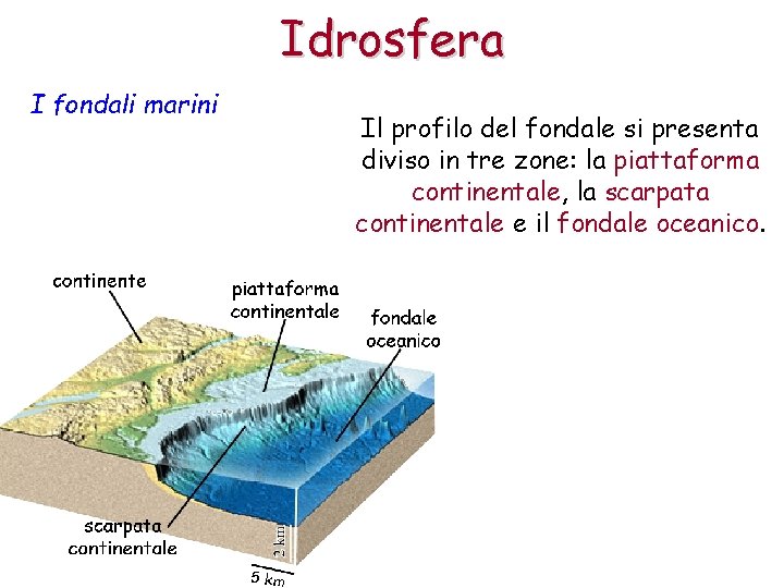 Idrosfera I fondali marini Il profilo del fondale si presenta diviso in tre zone: