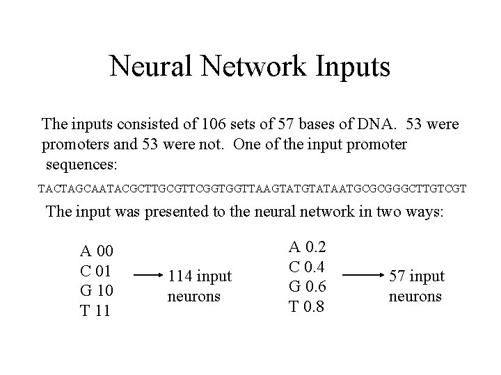 Neural Network Inputs The inputs consisted of 106 sets of 57 bases of DNA.