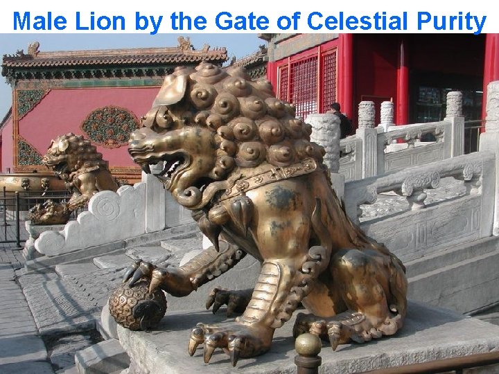 Male Lion by the Gate of Celestial Purity 