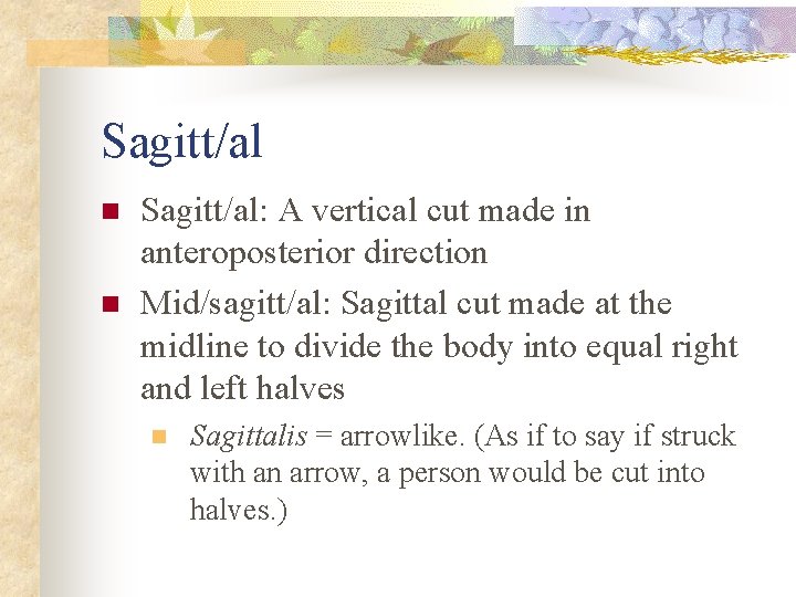 Sagitt/al n n Sagitt/al: A vertical cut made in anteroposterior direction Mid/sagitt/al: Sagittal cut