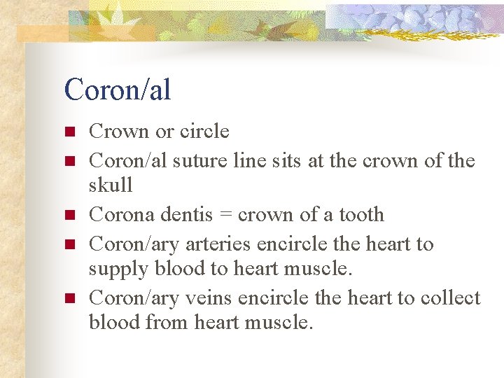 Coron/al n n n Crown or circle Coron/al suture line sits at the crown Coron/al n n n Crown or circle Coron/al suture line sits at the crown