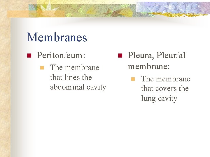 Membranes n Periton/eum: n The membrane that lines the abdominal cavity n Pleura, Pleur/al