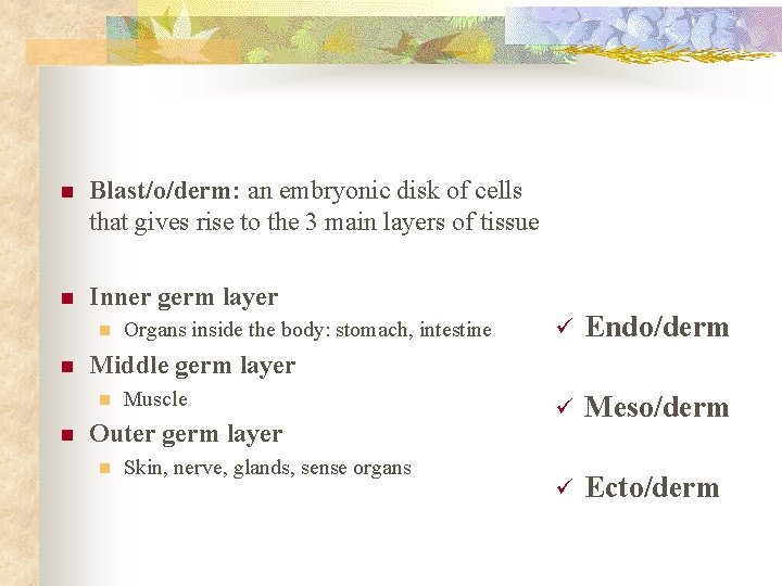 n Blast/o/derm: an embryonic disk of cells that gives rise to the 3 main