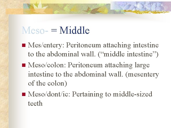 Meso- = Middle Mes/entery: Peritoneum attaching intestine to the abdominal wall. (“middle intestine”) n