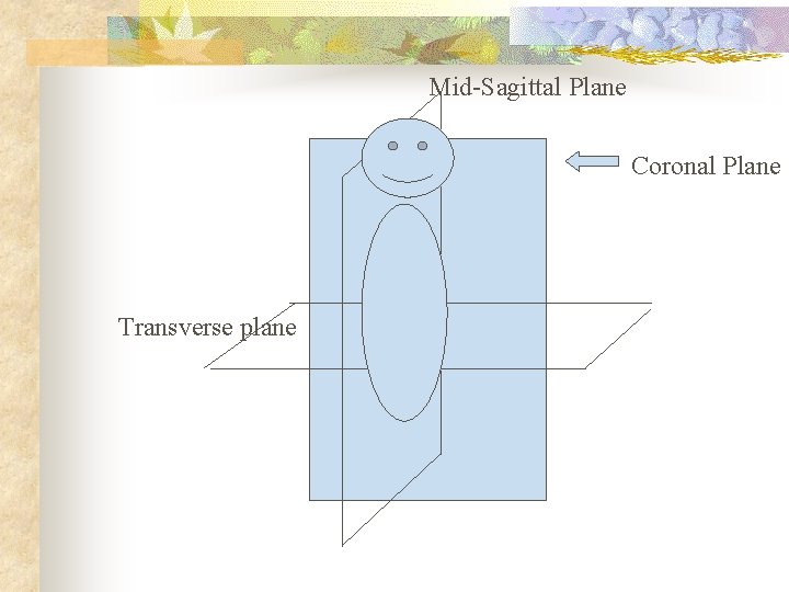 Mid-Sagittal Plane Coronal Plane Transverse plane 