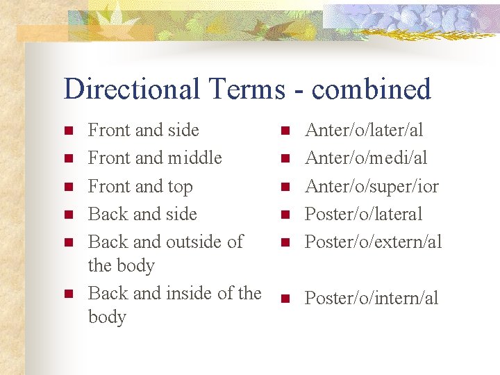 Directional Terms - combined n n n Front and side Front and middle Front