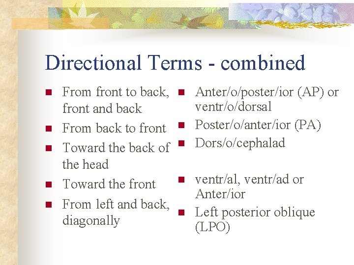 Directional Terms - combined n n n From front to back, front and back Directional Terms - combined n n n From front to back, front and back