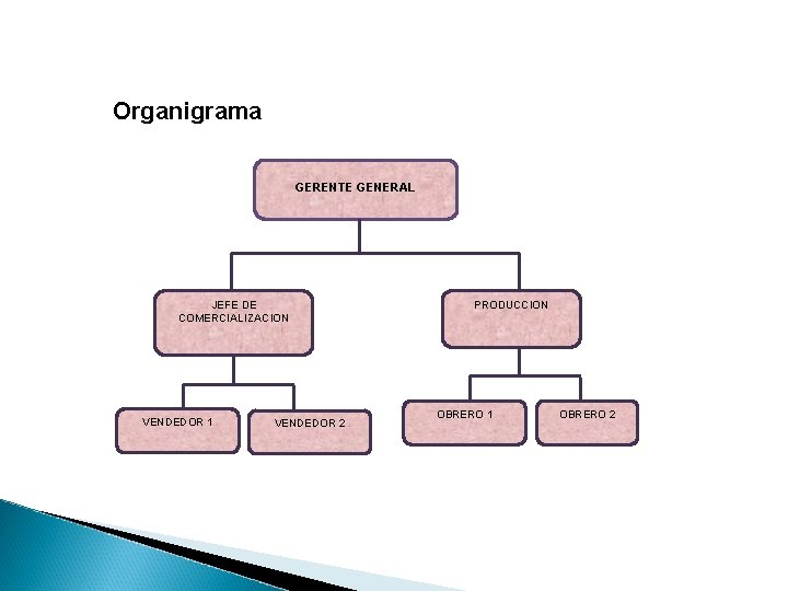 Organigrama GERENTE GENERAL JEFE DE COMERCIALIZACION VENDEDOR 1 VENDEDOR 2 PRODUCCION OBRERO 1 OBRERO