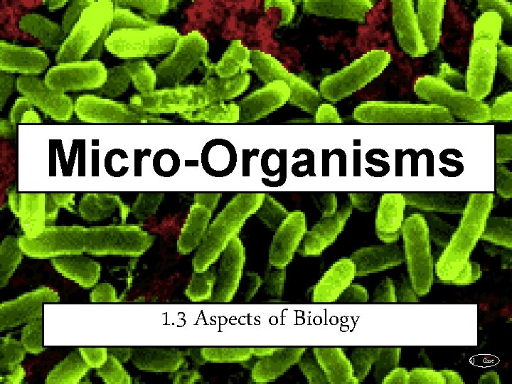 Micro-Organisms 1. 3 Aspects of Biology SJ Gaze 