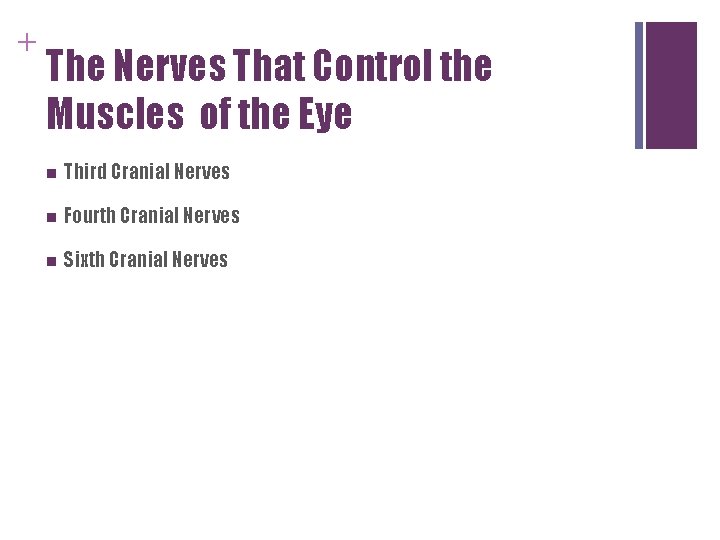 + The Nerves That Control the Muscles of the Eye n Third Cranial Nerves + The Nerves That Control the Muscles of the Eye n Third Cranial Nerves