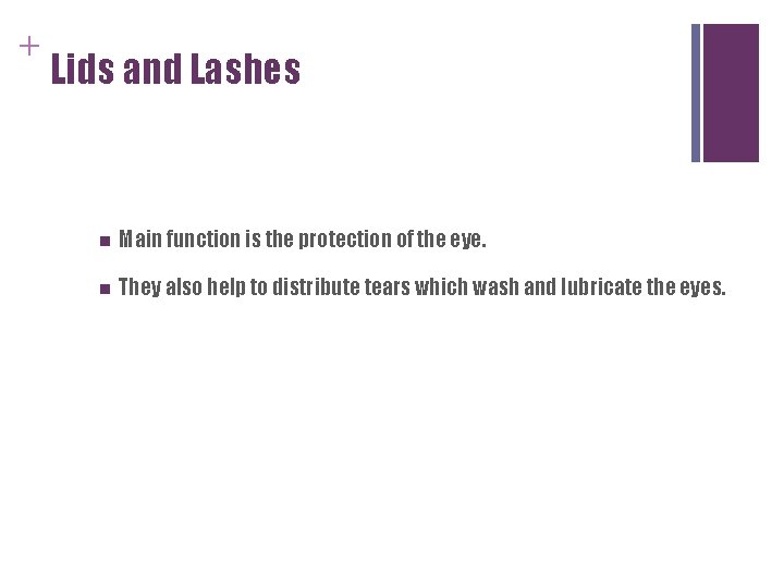+ Lids and Lashes n Main function is the protection of the eye. n + Lids and Lashes n Main function is the protection of the eye. n