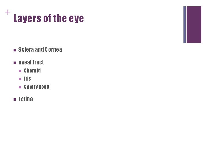 + Layers of the eye n Sclera and Cornea n uveal tract n n + Layers of the eye n Sclera and Cornea n uveal tract n n