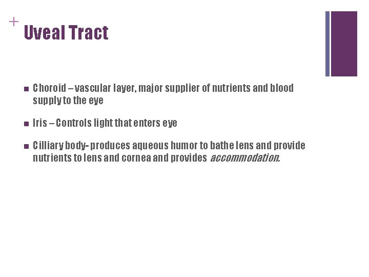 + Uveal Tract n Choroid – vascular layer, major supplier of nutrients and blood + Uveal Tract n Choroid – vascular layer, major supplier of nutrients and blood