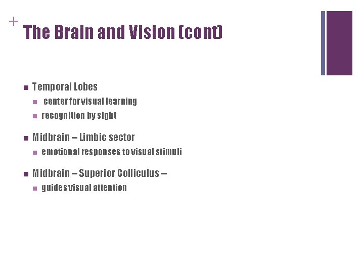 + The Brain and Vision (cont) n n Temporal Lobes n center for visual + The Brain and Vision (cont) n n Temporal Lobes n center for visual