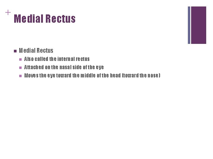 + Medial Rectus n Also called the internal rectus n Attached on the nasal + Medial Rectus n Also called the internal rectus n Attached on the nasal