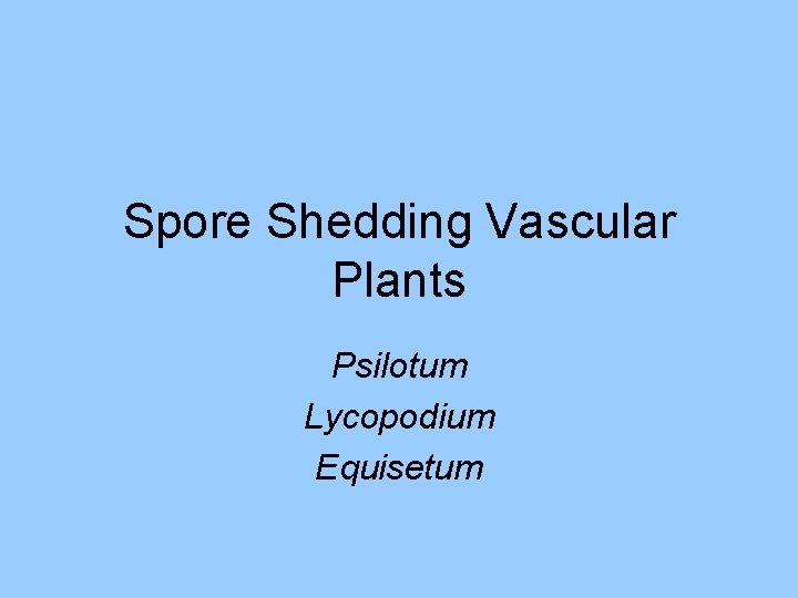 Spore Shedding Vascular Plants Psilotum Lycopodium Equisetum 