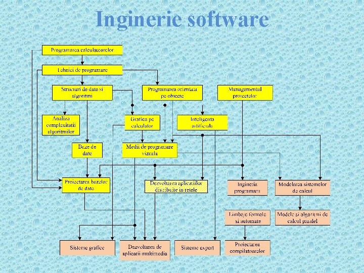 Inginerie software 