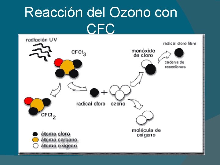 Reacción del Ozono con CFC 