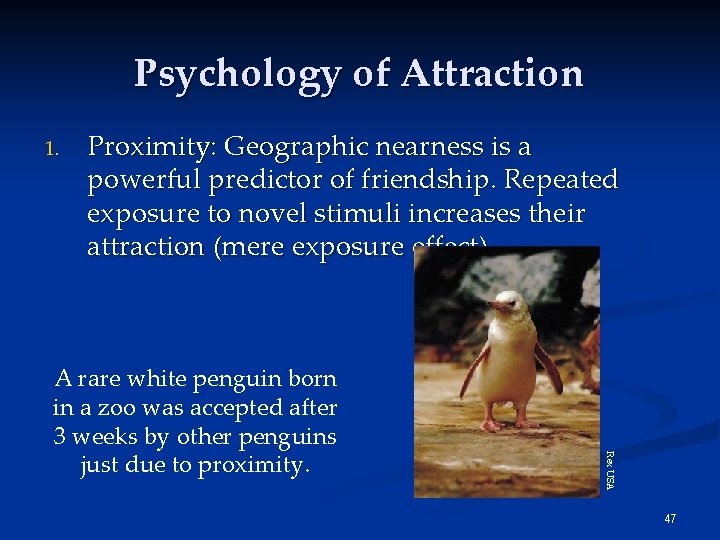 Psychology of Attraction 1. Proximity: Geographic nearness is a powerful predictor of friendship. Repeated