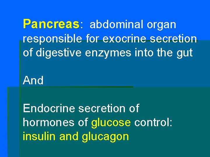 Pancreas: abdominal organ responsible for exocrine secretion of digestive enzymes into the gut And