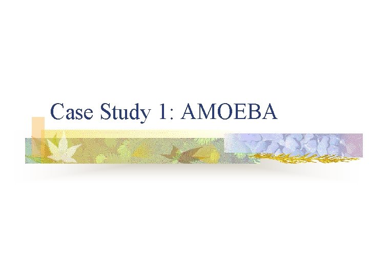 Case Study 1: AMOEBA 
