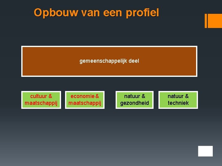 Opbouw van een profiel gemeenschappelijk deel cultuur & maatschappij economie & maatschappij natuur &