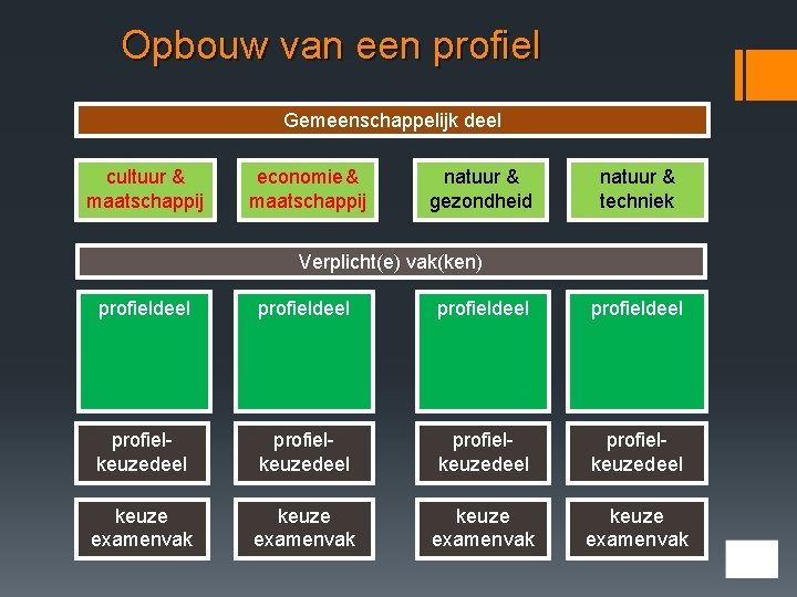 Opbouw van een profiel Gemeenschappelijk deel cultuur & maatschappij economie & maatschappij natuur &