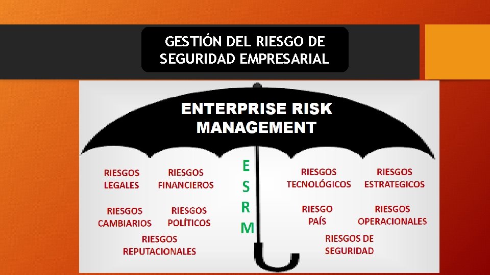 GESTIÓN DEL RIESGO DE SEGURIDAD EMPRESARIAL 