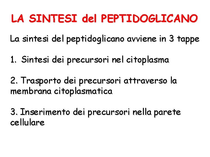 LA SINTESI del PEPTIDOGLICANO La sintesi del peptidoglicano avviene in 3 tappe 1. Sintesi