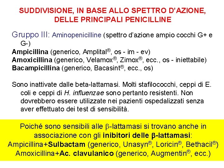 SUDDIVISIONE, IN BASE ALLO SPETTRO D’AZIONE, DELLE PRINCIPALI PENICILLINE Gruppo III: Aminopenicilline (spettro d’azione