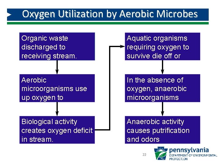 Oxygen Utilization by Aerobic Microbes Organic waste discharged to receiving stream. Aquatic organisms requiring