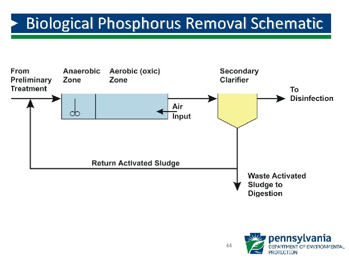 Biological Phosphorus Removal Schematic 44 