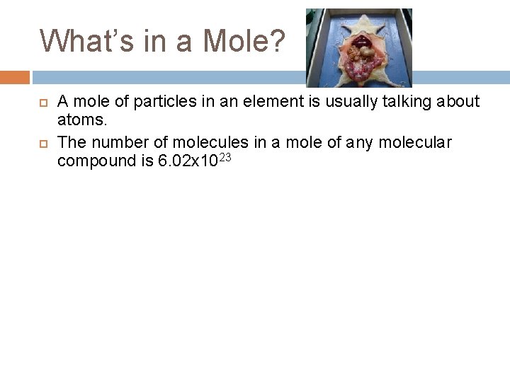 What’s in a Mole? A mole of particles in an element is usually talking