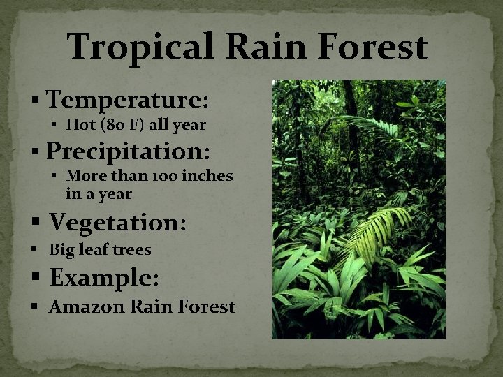 Tropical Rain Forest § Temperature: § Hot (80 F) all year § Precipitation: §