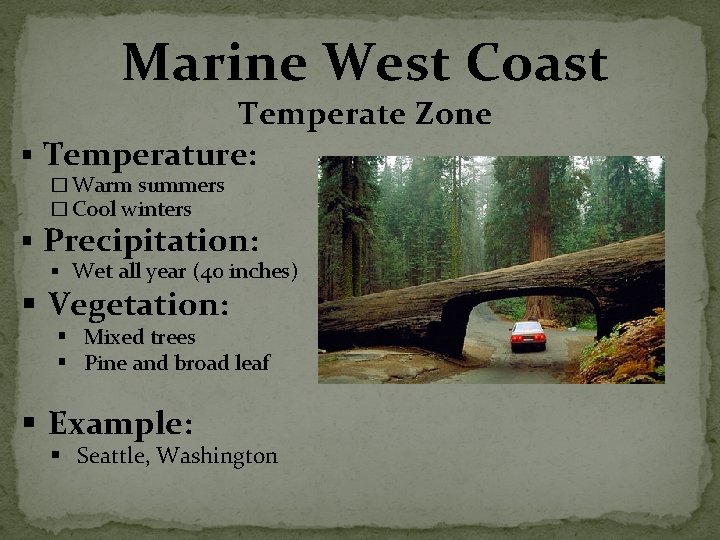 Marine West Coast Temperate Zone § Temperature: � Warm summers � Cool winters §