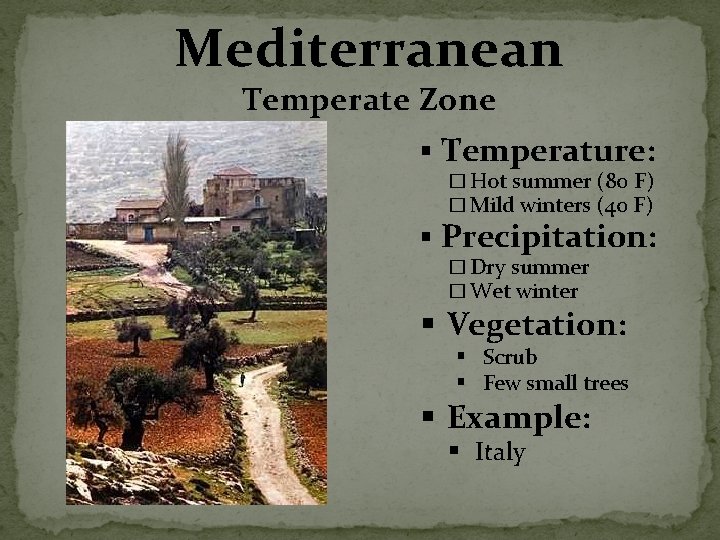 Mediterranean Temperate Zone § Temperature: � Hot summer (80 F) � Mild winters (40