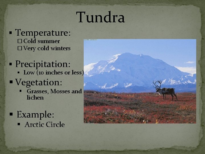 Tundra § Temperature: � Cold summer � Very cold winters § Precipitation: § Low