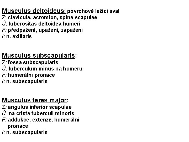 Musculus deltoideus: povrchově ležící sval Z: clavicula, acromion, spina scapulae Ú: tuberositas deltoidea humeri