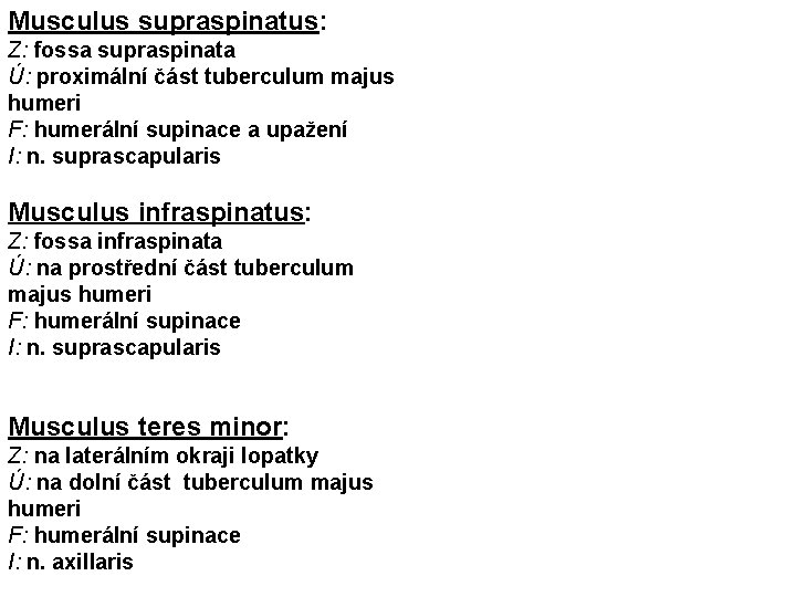 Musculus supraspinatus: Z: fossa supraspinata Ú: proximální část tuberculum majus humeri F: humerální supinace