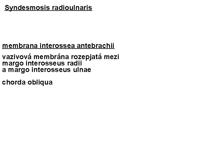 Syndesmosis radioulnaris membrana interossea antebrachii vazivová membrána rozepjatá mezi margo interosseus radii a margo