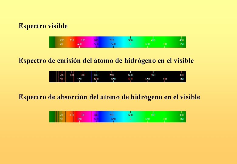 Espectro visible Espectro de emisión del átomo de hidrógeno en el visible Espectro de