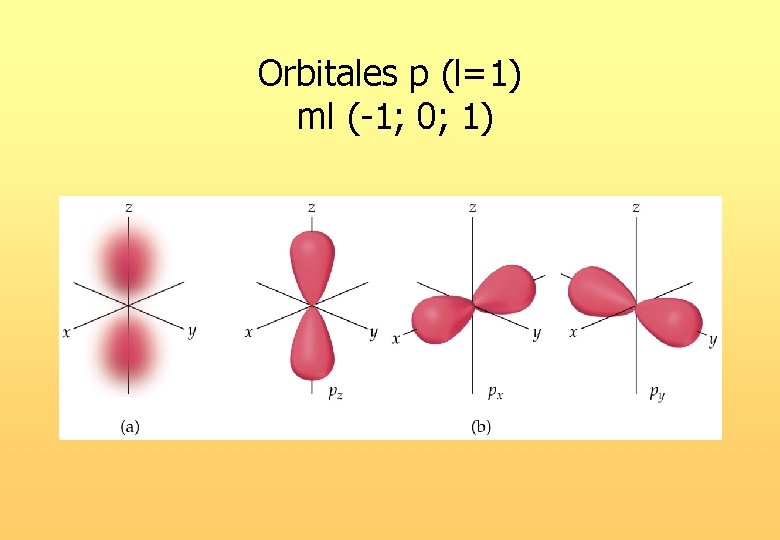 Orbitales p (l=1) ml (-1; 0; 1) 