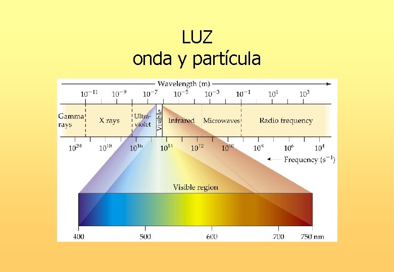 LUZ onda y partícula 