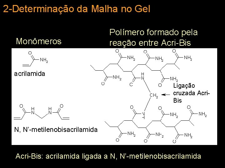 2 -Determinação da Malha no Gel Monômeros Polímero formado pela reação entre Acri-Bis acrilamida