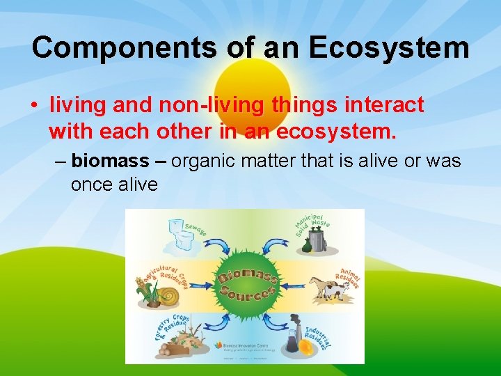 Components of an Ecosystem • living and non-living things interact with each other in