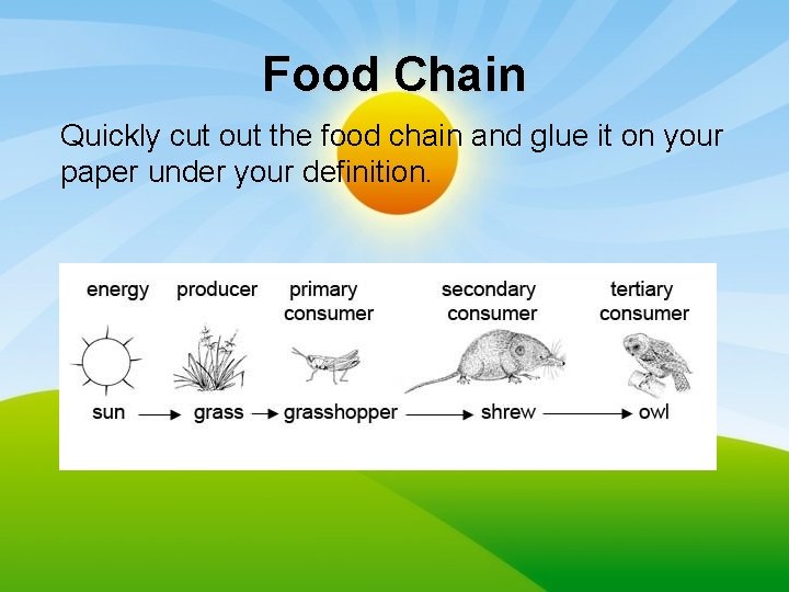 Food Chain Quickly cut out the food chain and glue it on your paper