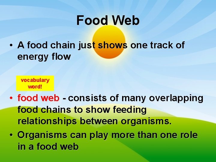 Food Web • A food chain just shows one track of energy flow vocabulary