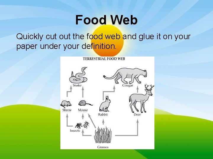 Food Web Quickly cut out the food web and glue it on your paper