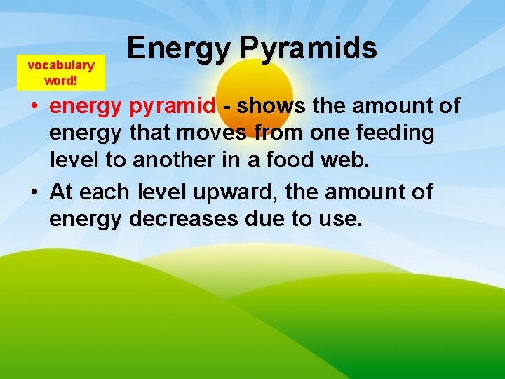 vocabulary word! Energy Pyramids • energy pyramid - shows the amount of energy that