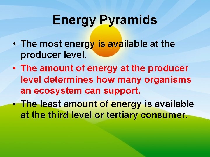 Energy Pyramids • The most energy is available at the producer level. • The